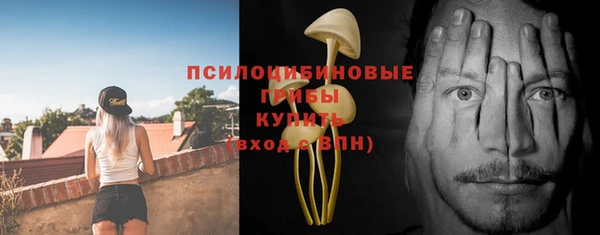 a pvp Киренск