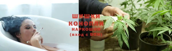 СК Козельск