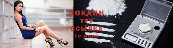прущая мука Кодинск
