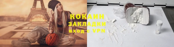 крисы Козловка