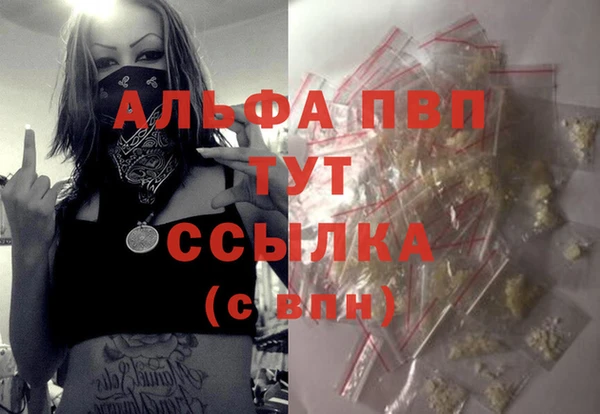 крисы Козловка