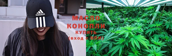 крисы Козловка