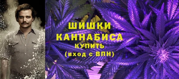 крисы Козловка